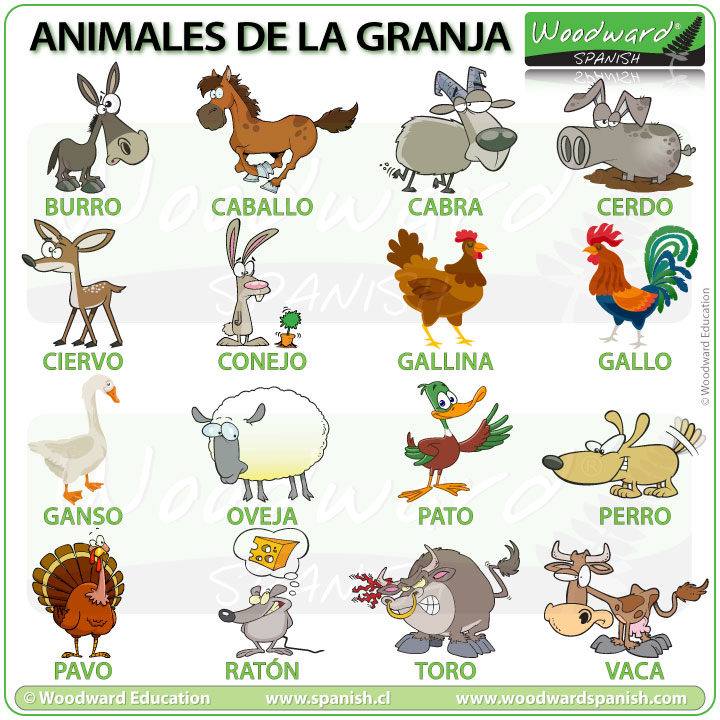 Animales de la granja - vocabulario en español - Farm animals in Spanish vocabulary Animales de la granja - vocabulario en español - Farm animals in Spanish vocabulary
