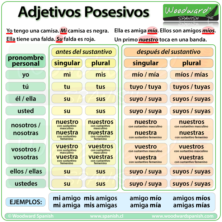 Los adjetivos posesivos en español - Possessive Adjectives in Spanish Los adjetivos posesivos en español - Possessive Adjectives in Spanish