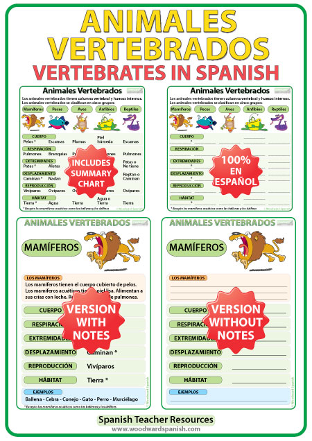 Características de los animales vertebrados en español. Charts about Vertebrates in Spanish. Características de los animales vertebrados en español. Charts about Vertebrates in Spanish.