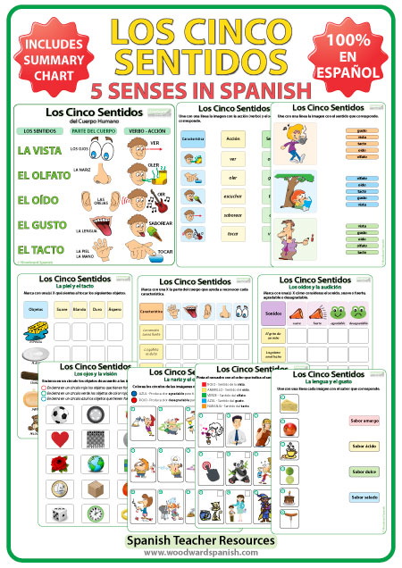 Los Cinco Sentidos - Ejercicos y actividades en español Los Cinco Sentidos - Ejercicos y actividades en español