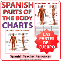 Spanish Parts of the Body - Charts - Las Partes del Cuerpo Humano en español Spanish Parts of the Body - Charts - Las Partes del Cuerpo Humano en español